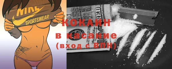 гашик Корсаков