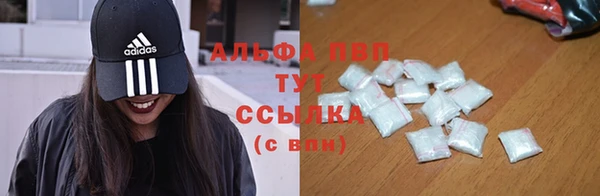 гашик Корсаков