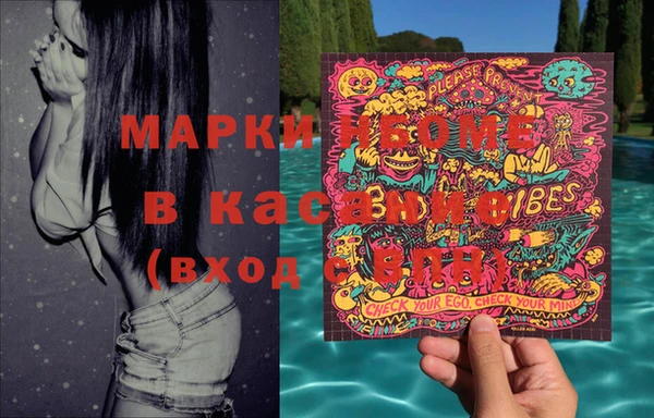 гашик Корсаков