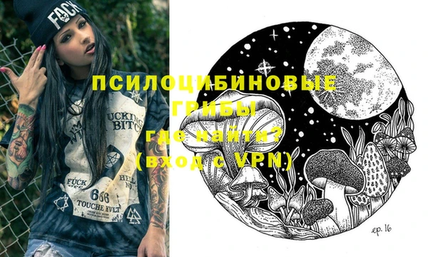 гашик Корсаков