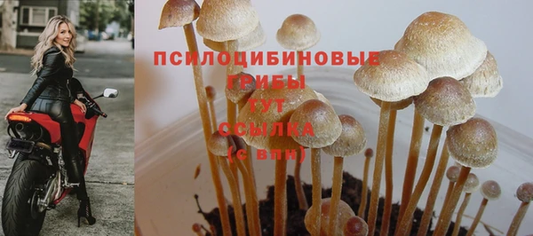 mix Костерёво