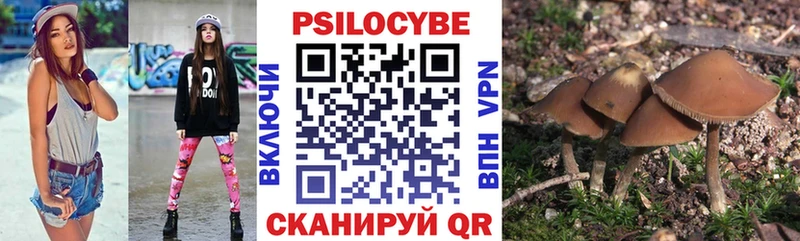 Псилоцибиновые грибы MAGIC MUSHROOMS  mega   Шацк  купить наркоту 